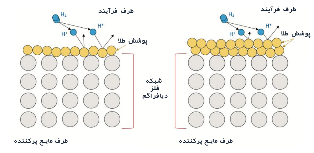 پوشش طلا بر روی دیافراگم